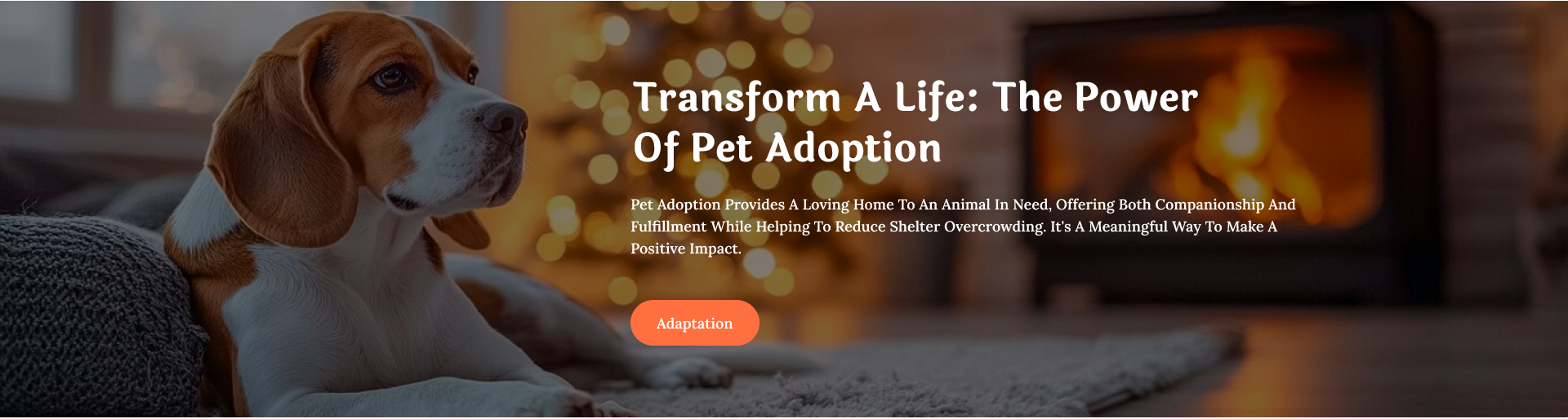 Adaptation