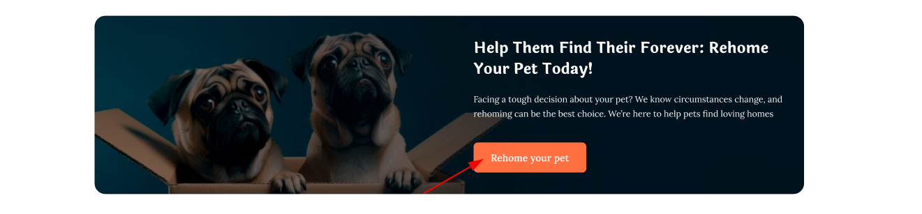 Rehome your pet
