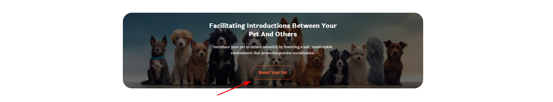 Breed your pet