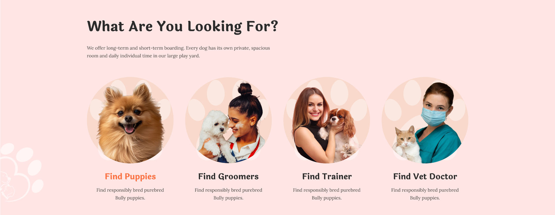 Finding experts