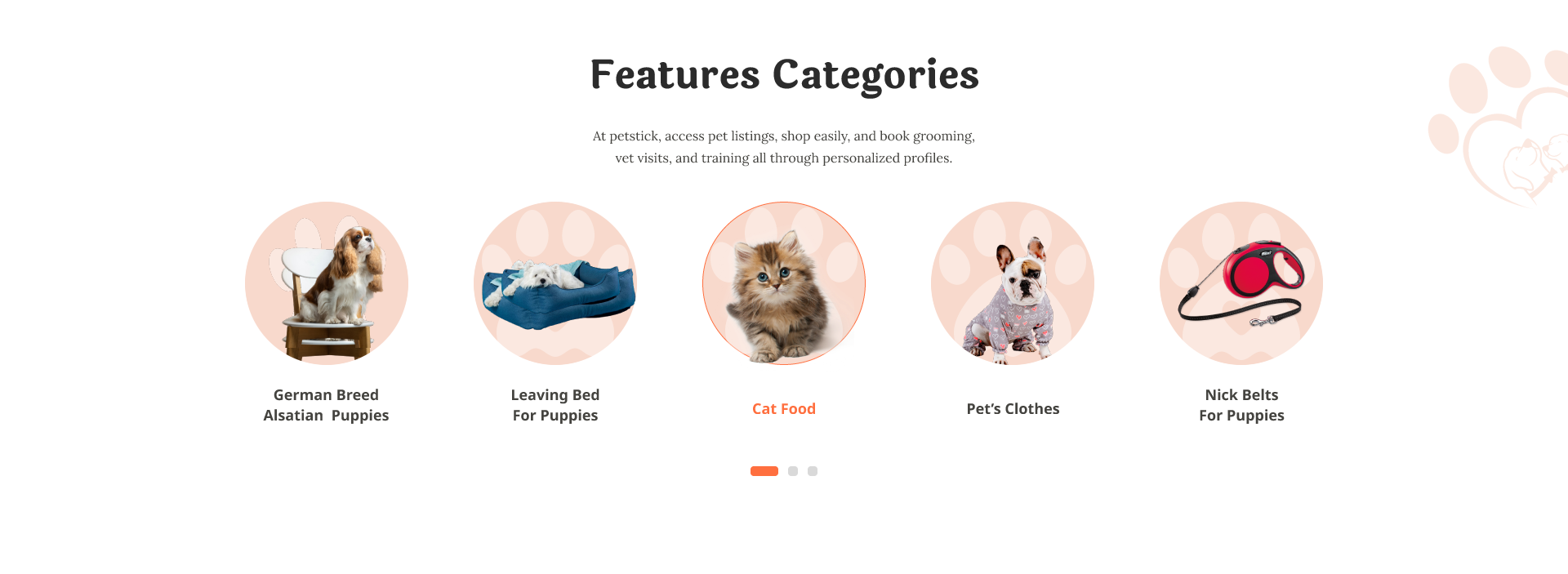 About Us