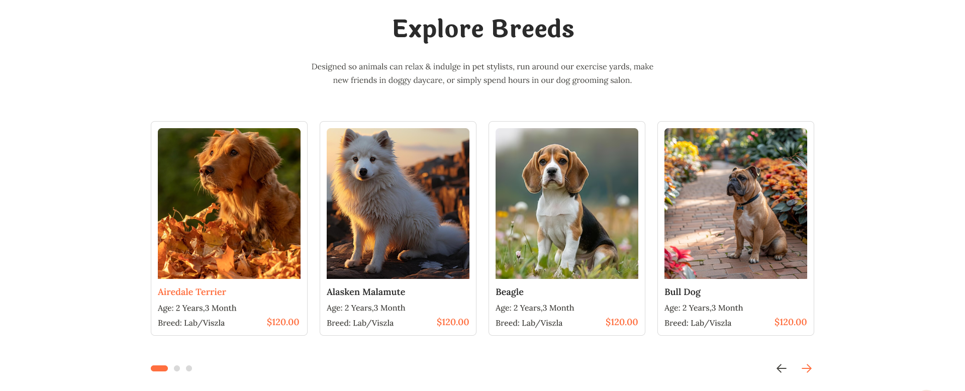 Pets shop