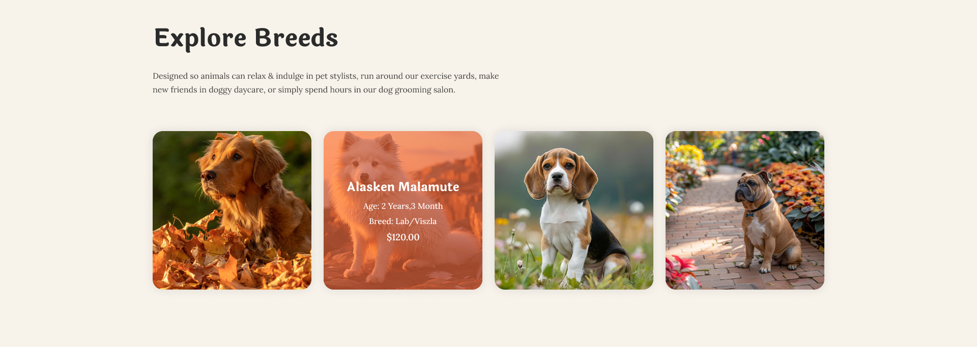 Pets shop