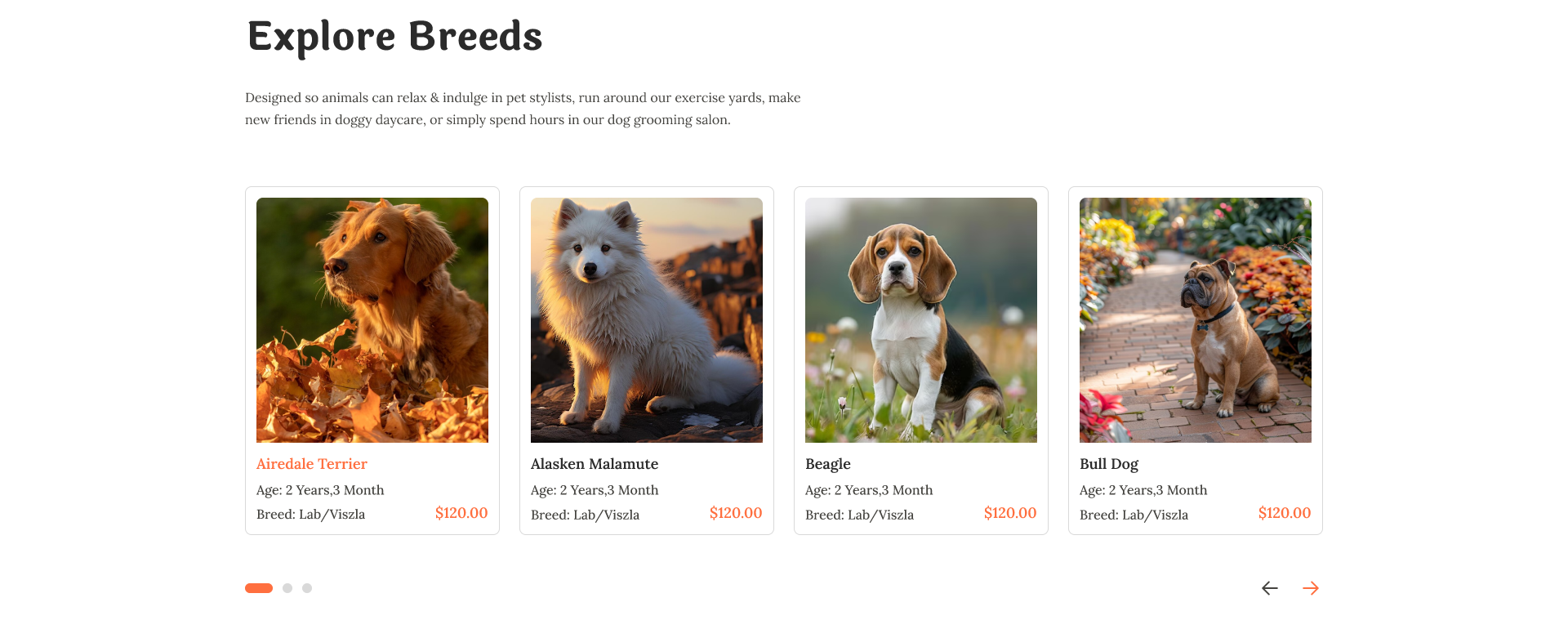 Pets shop