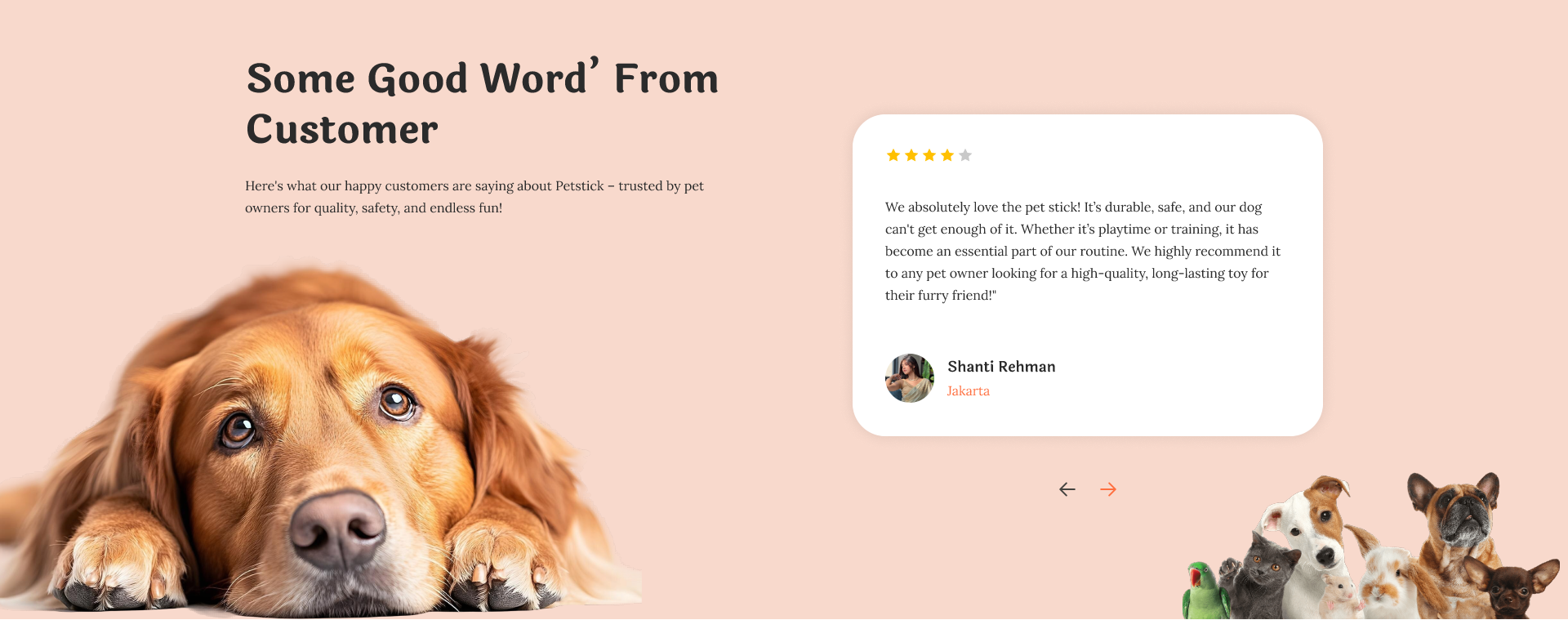 Customer Reviews