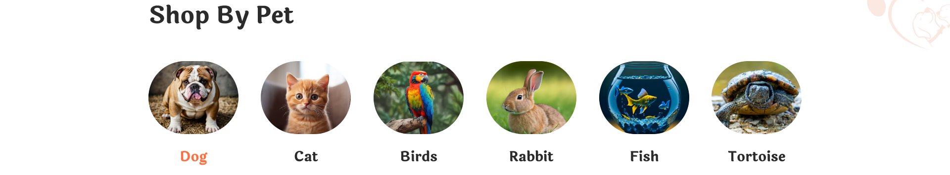 Pet Type